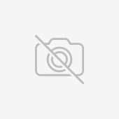 Моделирование магнитных, электромагнитных и тепловых полей в технических устройствах